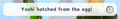 Thumbnail for version as of 19:11, 10 April 2024